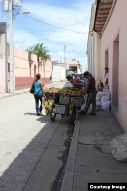 Foto Cortesía de Luis Felipe Rojas